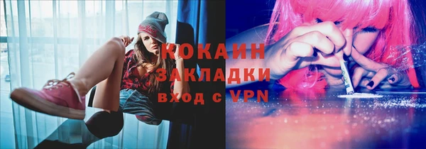 крисы Баксан