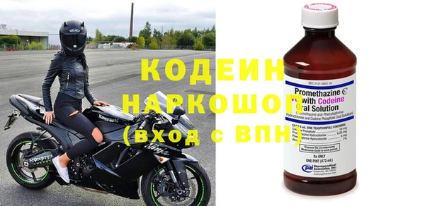 крисы Баксан