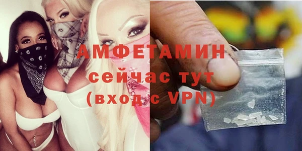 крисы Баксан