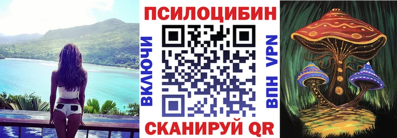 купить закладку Таруса Галлюциногенные грибы мицелий