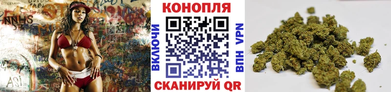дарнет шоп Таруса Конопля SATIVA & INDICA